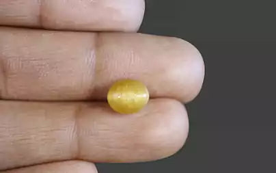 Cat's Eye - 2.93 Carats (Lahsuniya - 3.19 Ratti)