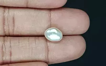 Venezuela Pearl - 3.82 Carats (Moti - 4.16 Ratti)