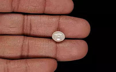 Venezuela Pearl - 3.33 Carats (Moti - 3.63 Ratti)