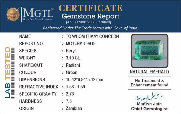 Emerald (Panna) - 3.19 Carats