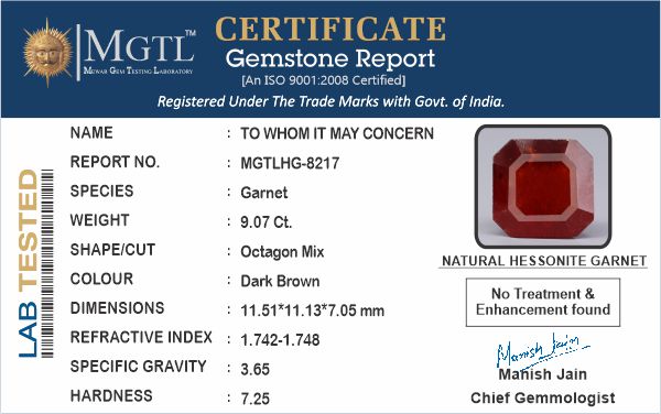 Hessonite (Gomed) - 9.07 Carats