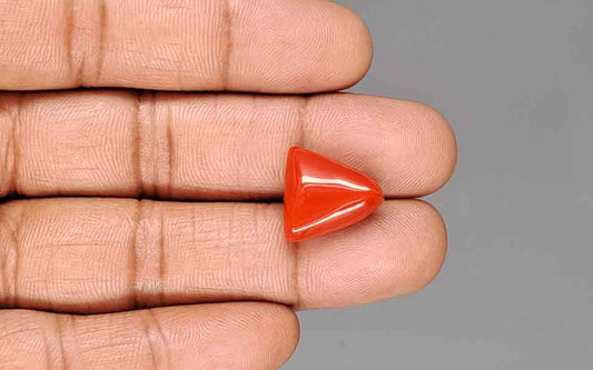 Red Coral (Moonga) Gemstone - 11.05 Carats