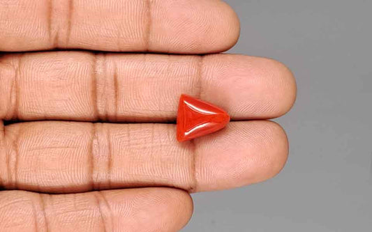 Red Coral (Moonga) Gemstone - 7.70 Carats