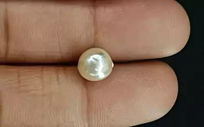 Keshi Pearl - 3.91 Carats (Moti - 4.26 Ratti)