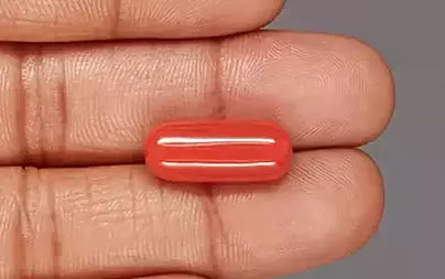 Red Coral (Moonga) - 10.39 Carats