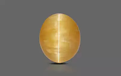 Cat's Eye - 2.93 Carats (Lahsuniya - 3.19 Ratti)