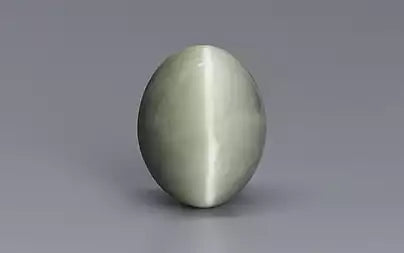 Cat's Eye - 10.04 Carats (Lahsuniya - 10.94 Ratti)