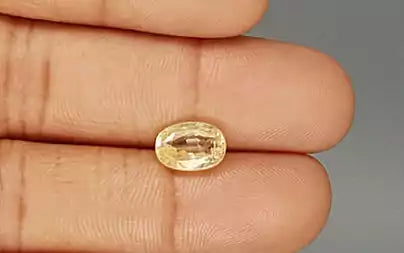 Yellow Sapphire (Pukhraj) - 3.40 Carats