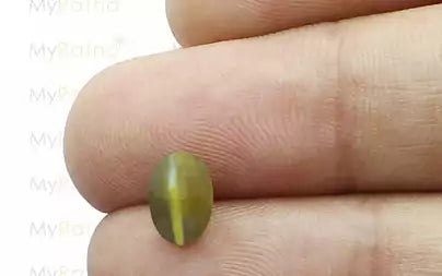 Cat's Eye - 1.50 Carats (Lahsuniya - 1.64 Ratti)