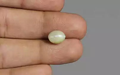 Cats Eye (Lehsunia) - 4.21 Carats
