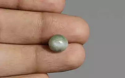 Cat's Eye - 4.44 Carats (Lahsuniya - 4.84 Ratti)