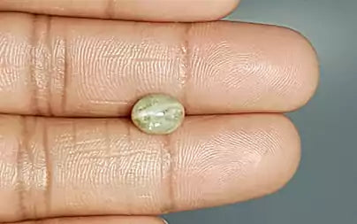Cat's Eye - 3.24 Carats (Lahsuniya - 3.53 Ratti)