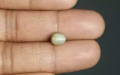 Cat's Eye - 2.86 Carats (Lahsuniya - 3.12 Ratti)