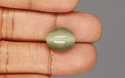 Cat's Eye - 10.04 Carats (Lahsuniya - 10.94 Ratti)