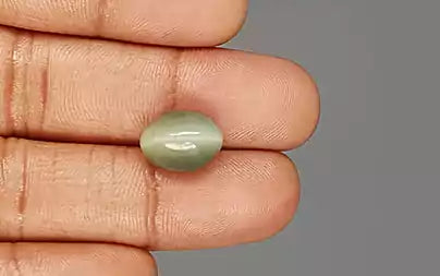 Cats Eye (Lehsunia) - 7.10 Carats
