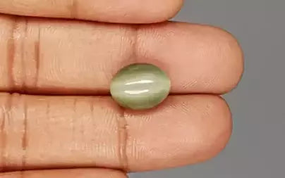Cat's Eye - 6.63 Carats (Lahsuniya - 7.23 Ratti)