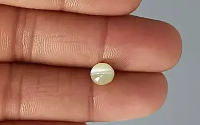 Cats Eye (Lehsunia) - 2.48 Carats