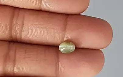 Cat's Eye - 2.54 Carats (Lahsuniya - 2.77 Ratti)