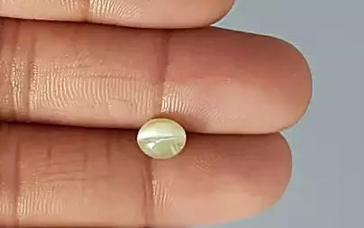 Cat's Eye - 2.51 Carats (Lahsuniya - 2.74 Ratti)