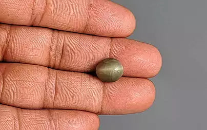 Cat's Eye - 6.72 Carats (Lahsuniya - 7.32 Ratti)