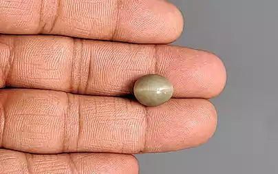 Cat's Eye - 6.46 Carats (Lahsuniya - 7.04 Ratti)