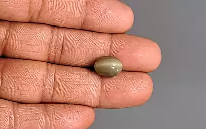 Cat's Eye - 6.25 Carats (Lahsuniya - 6.81 Ratti)