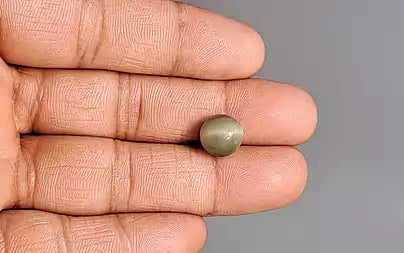 Cat's Eye - 5.81 Carats (Lahsuniya - 6.33 Ratti)