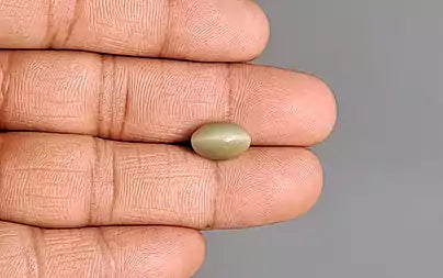Cat's Eye - 3.72 Carats (Lahsuniya - 4.05 Ratti)