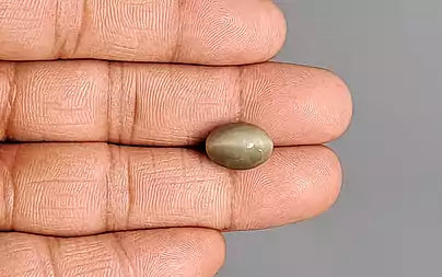 Cats Eye (Lehsunia) - 7.05 Carats