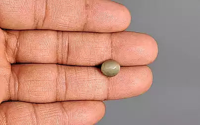 Cats Eye (Lehsunia) - 2.99 Carats