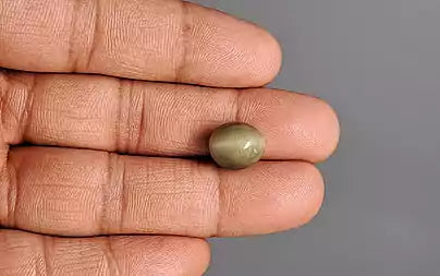 Cats Eye (Lehsunia) - 7.71 Carats