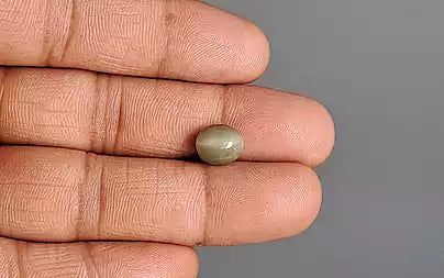 Cat's Eye - 2.64 Carats (Lahsuniya - 2.88 Ratti)