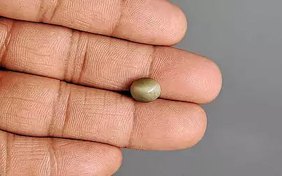 Cats Eye (Lehsunia) - 2.96 Carats