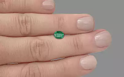 Emerald - 1.52 Carats (Panna - 1.66 Ratti)