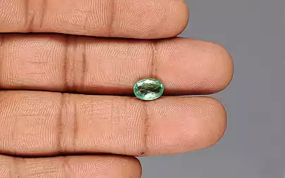 Emerald - 1.32 Carats (Panna - 1.44 Ratti)