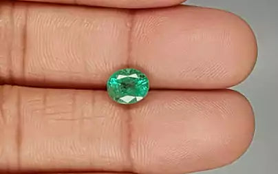 Emerald - 1.60 Carats (Panna - 1.74 Ratti)