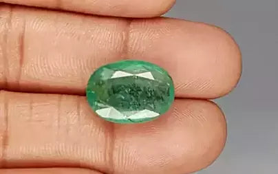Emerald - 12.46 Carats (Panna - 13.58 Ratti)