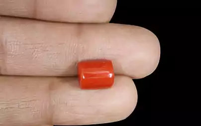 Red Coral (Moonga) - 5.23 Carats