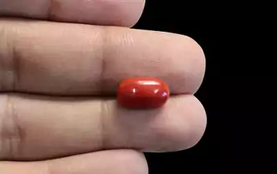 Red Coral - 3.97 Carats (Moonga - 4.33 Ratti)