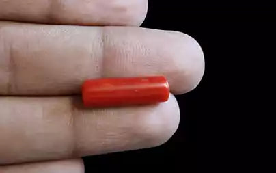 Red Coral (Moonga) - 6.43 Carats