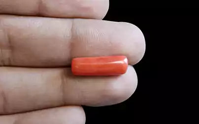 Red Coral (Moonga) - 6.44 Carats