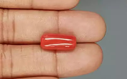Red Coral (Moonga) - 8.21 Carats