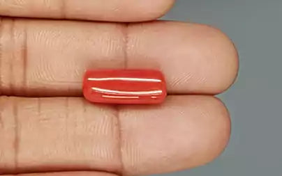 Red Coral (Moonga) - 7.57 Carats
