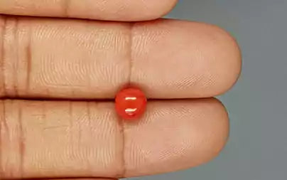 Red Coral (Moonga) - 1.79 Carats