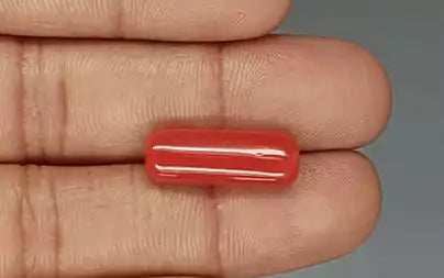 Red Coral (Moonga) - 8.82 Carats