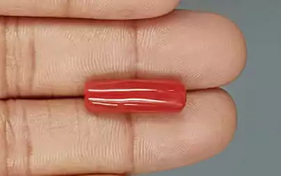 Red Coral (Moonga) - 8.86 Carats