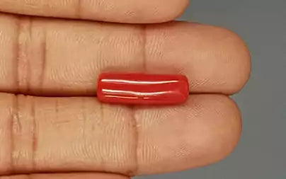 Red Coral (Moonga) - 6.72 Carats