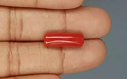 Red Coral (Moonga) - 7.74 Carats