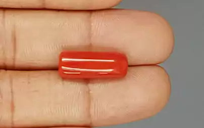 Red Coral (Moonga) - 7.89 Carats