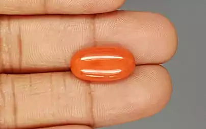 Red Coral (Moonga) - 6.44 Carats
